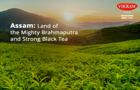 Assam: Land of the Mighty Brahmaputra and Strong Black Tea