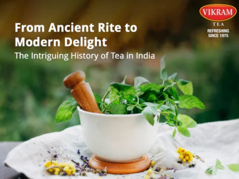 From Ancient Rite to Modern Delight: The Intriguing History of Tea in India