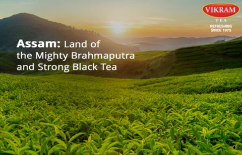 Assam: Land of the Mighty Brahmaputra and Strong Black Tea